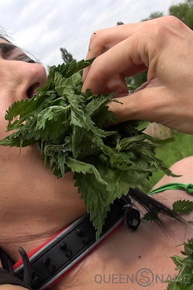 Nettle Bikini - Screenshot 1 of 4 - Femdom