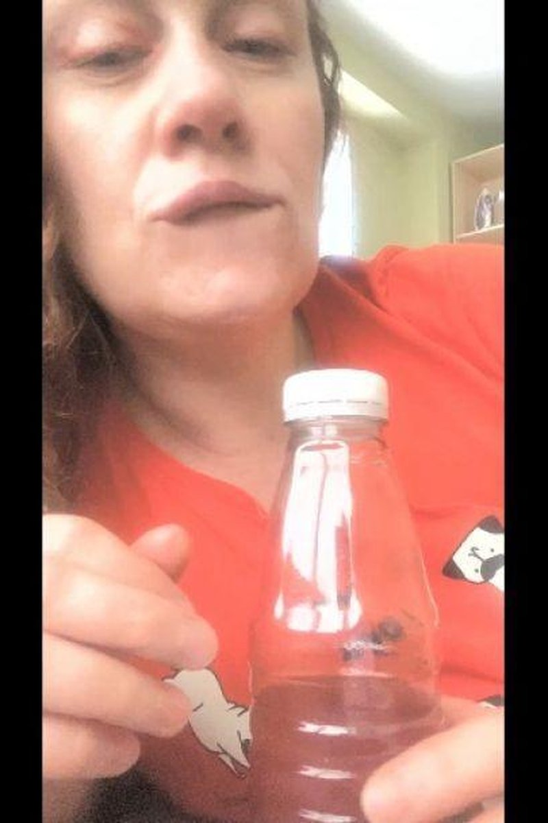 Burping - Screenshot 1 of 4 - Cum Drip