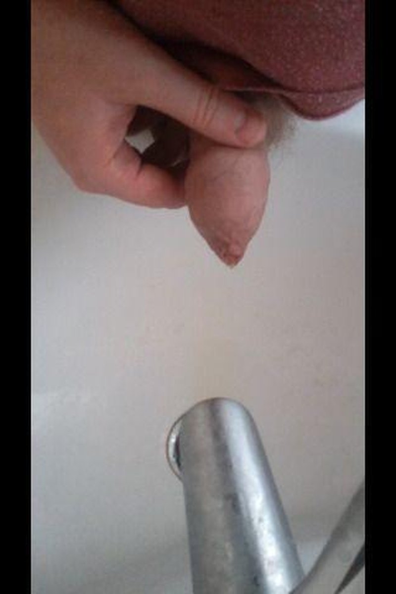 Sink Piss - Screenshot 1 of 4 - Cock Play