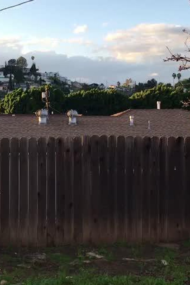 Backyard Jerk Off - Screenshot 1 of 4 - Cumshot