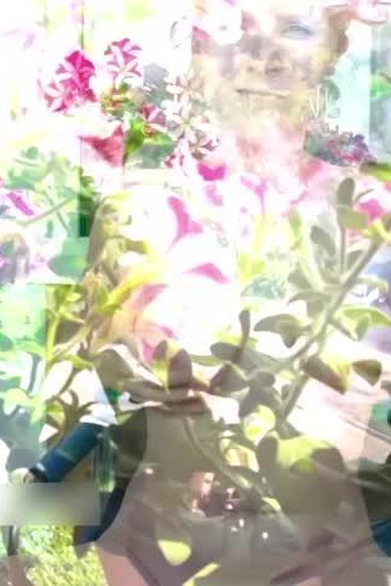 Loggia - Screenshot 1 of 4 - Ass Fetish