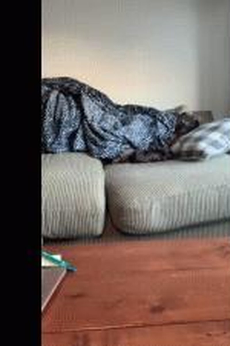 Roommate Slave - Screenshot 1 of 4 - Fantasy