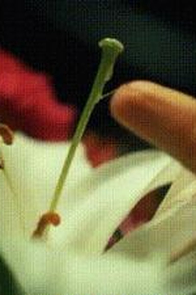Sticky - Screenshot 1 of 4 - Close Up