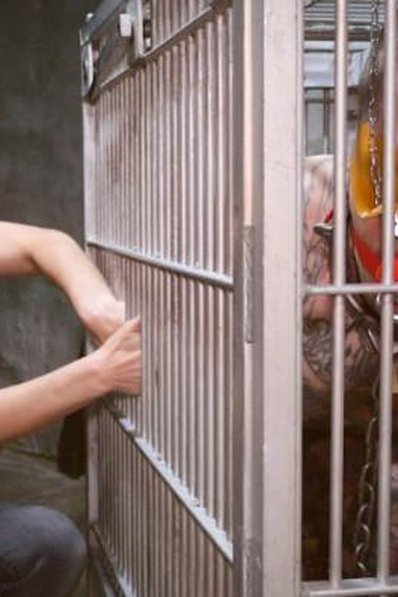 Squeeze Cage - Screenshot 1 of 4 - Bondage