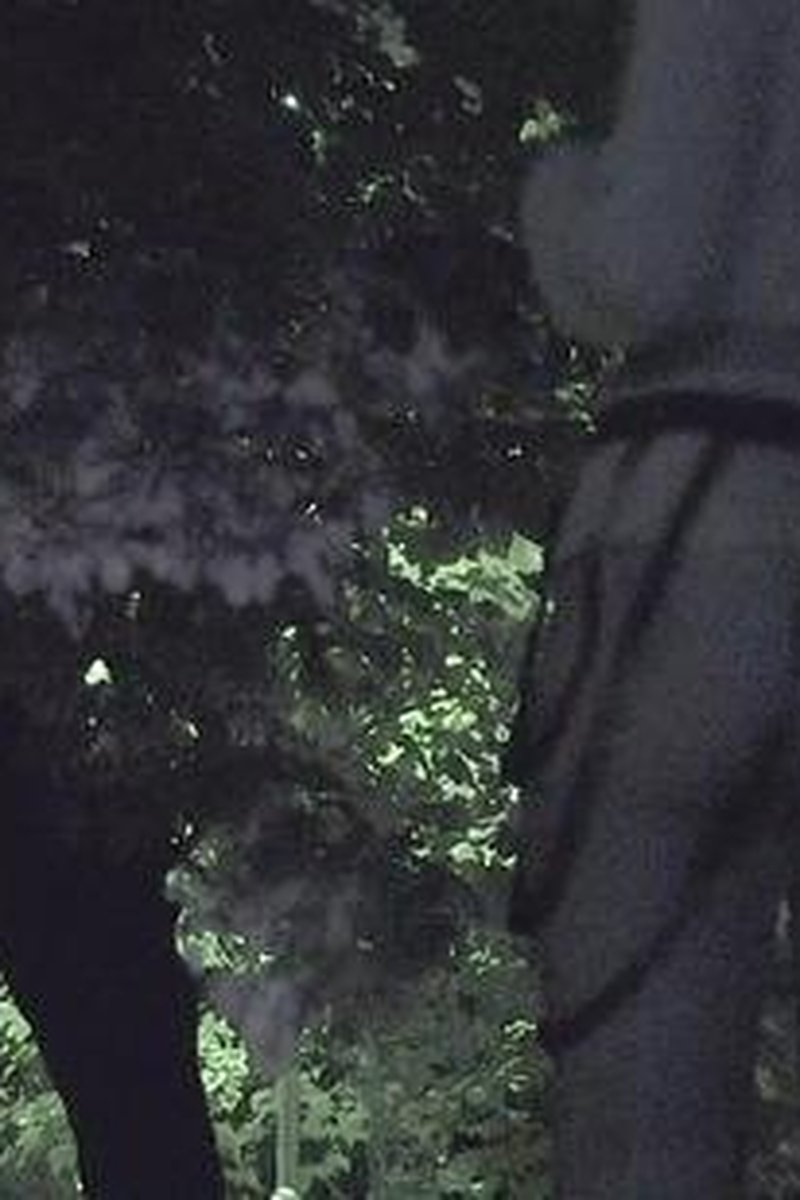 At Night - Screenshot 1 of 4 - Bottomless