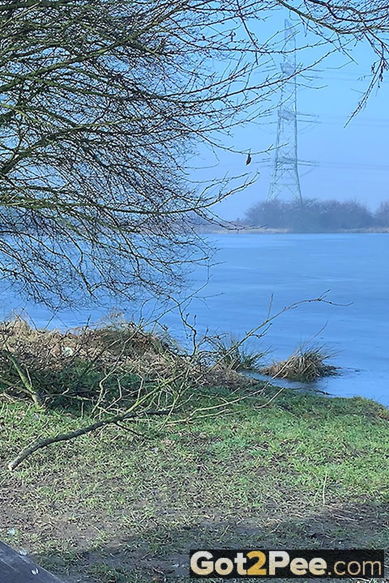 Picturesque Setting - Screenshot 1 of 4