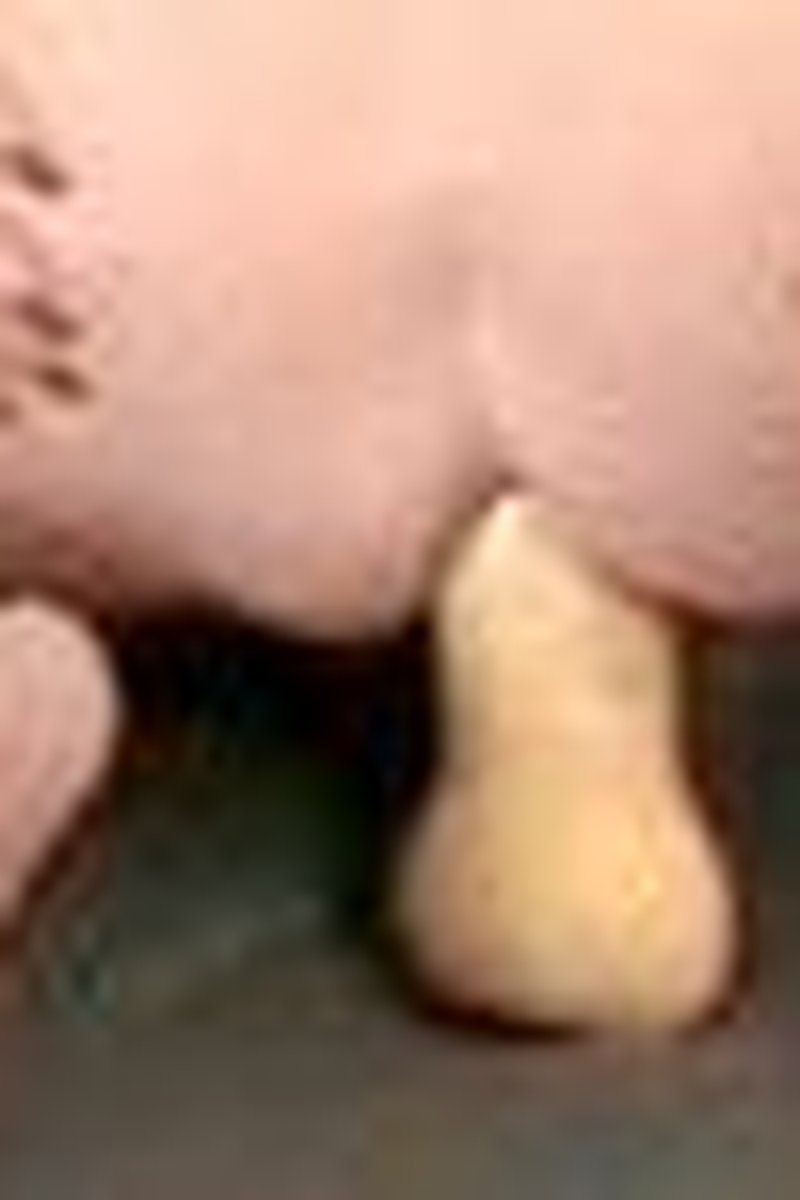 Anal Veg Insertions - Screenshot 1 of 4 - Anal