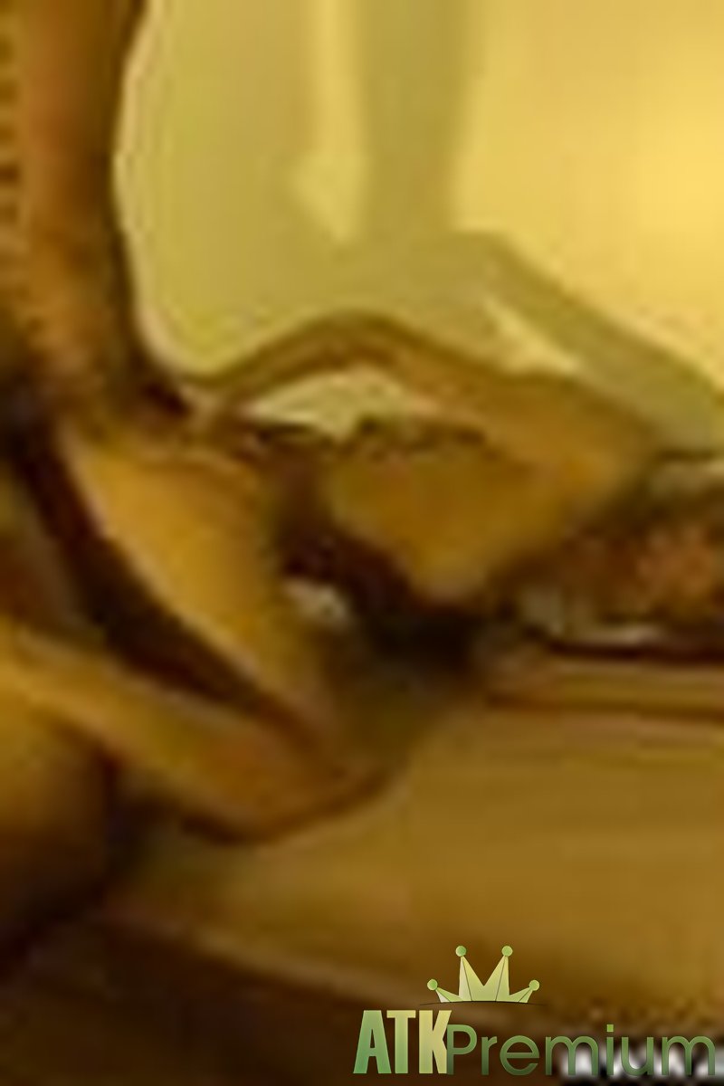 Anna - Hardcore - Screenshot 1 of 4 - Anna Ann031