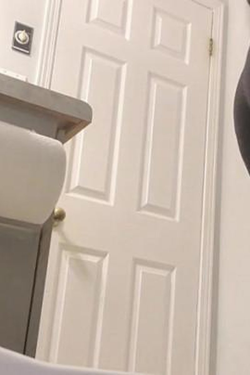 Creature Comforts - Screenshot 1 of 4 - Ass Fetish