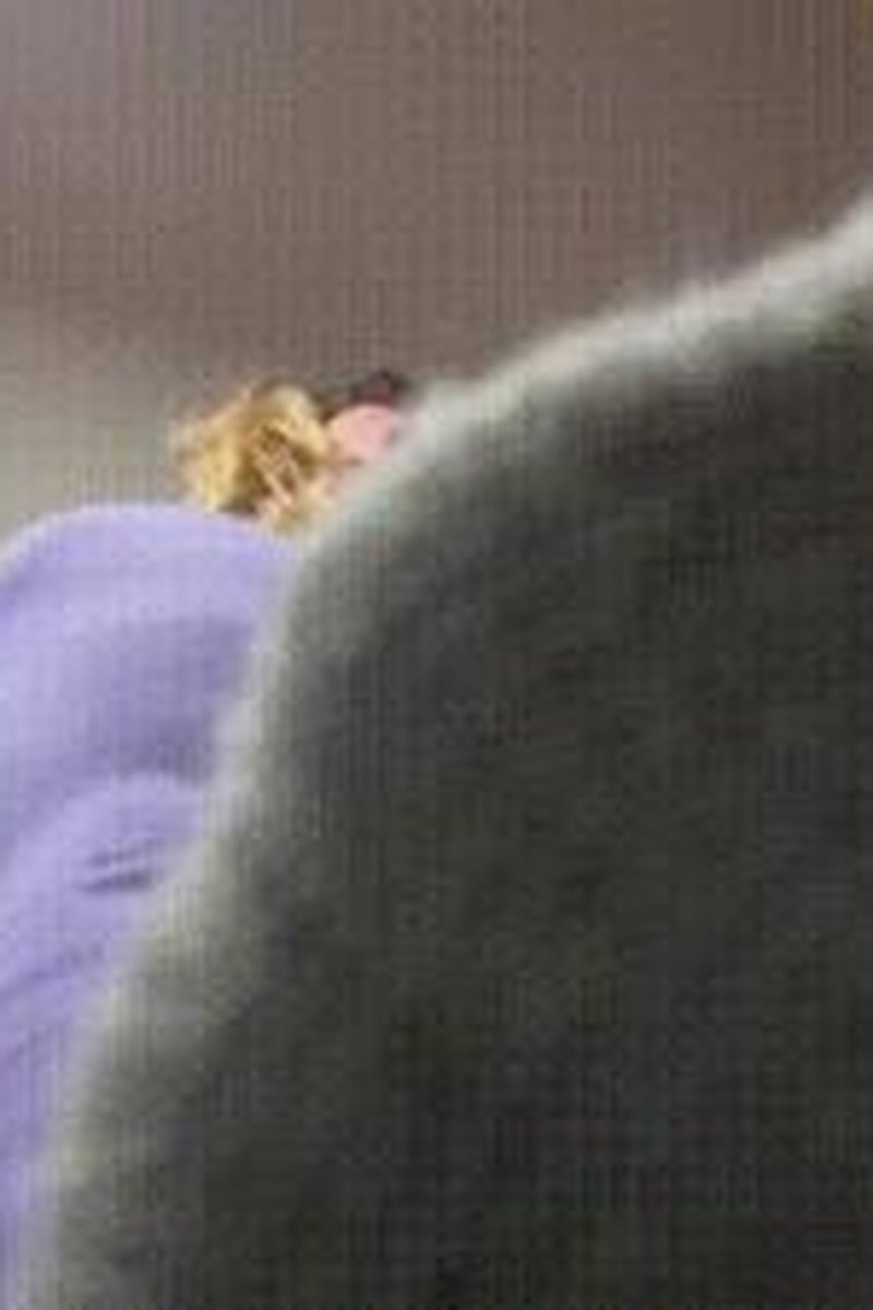 Pest Control - Screenshot 1 of 4 - BBW