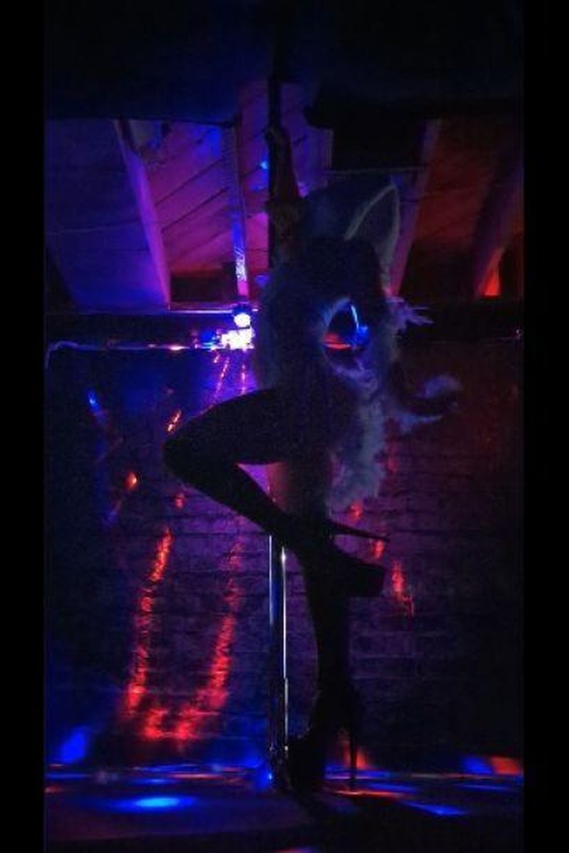 Rooster - Screenshot 1 of 4 - Adorable