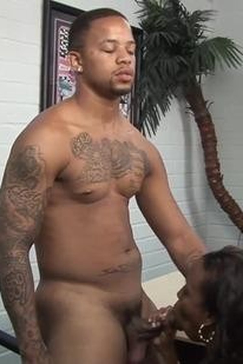 J Strokes - Screenshot 1 of 4 - BBC