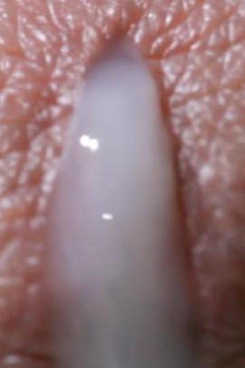 Pumping Cum - Screenshot 1 of 4 - Big Dick