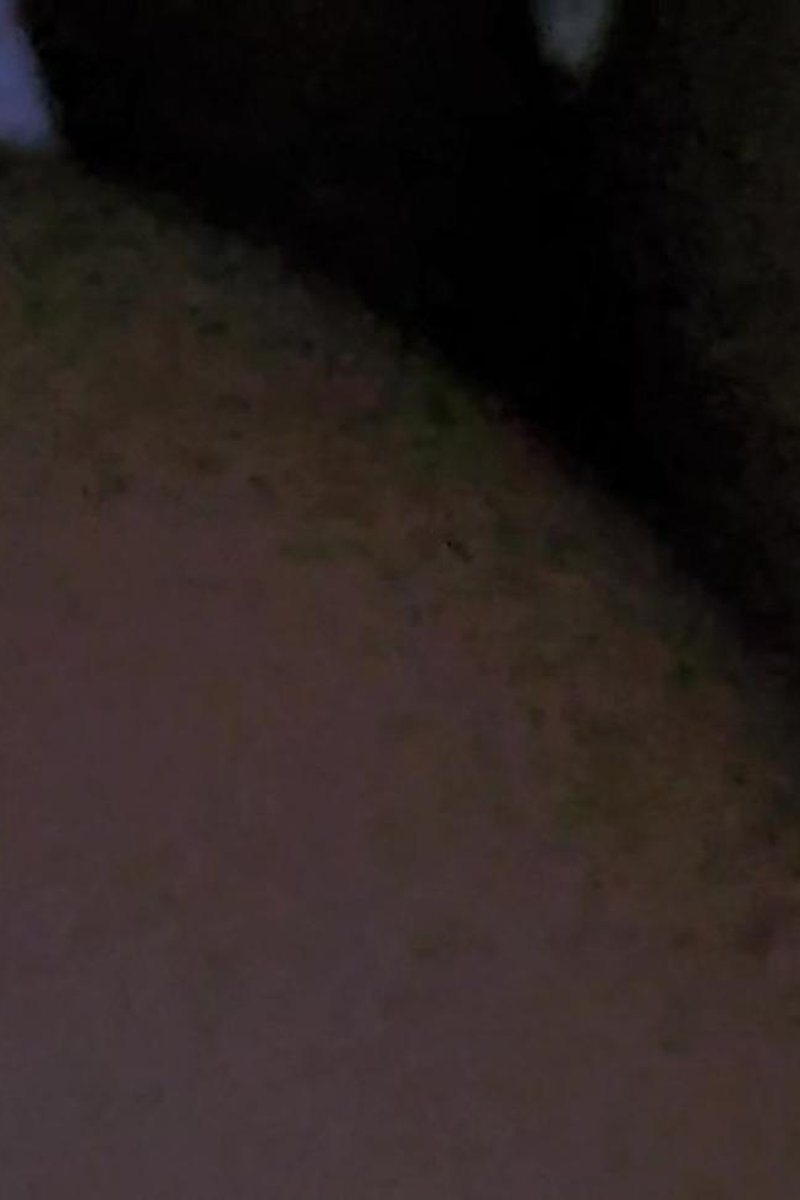 Him_N_Her - Its So Good 2 - Nov. 19, 2024 - Screenshot 1 of 4 - Amateur