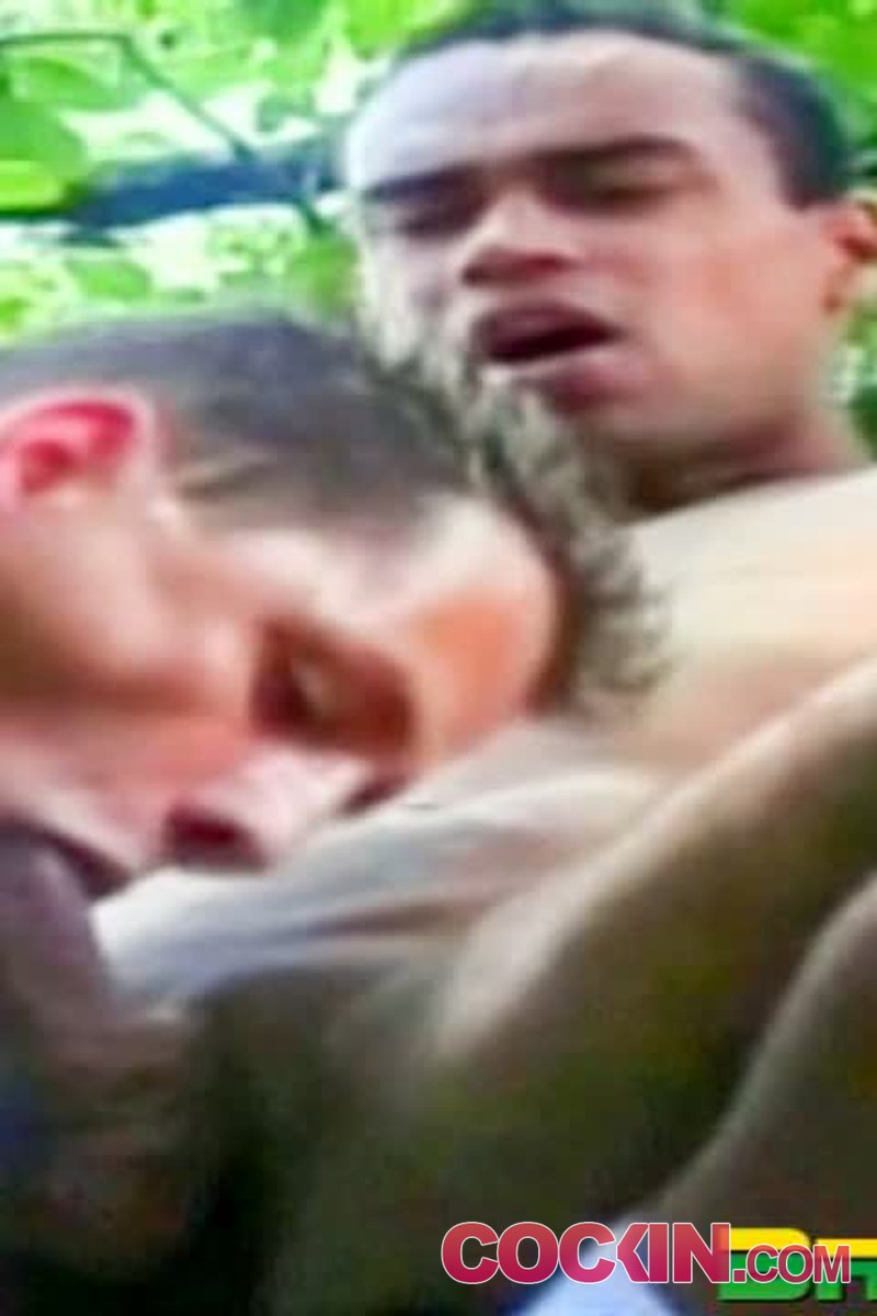 Forest Fire - Screenshot 1 of 4 - Anal