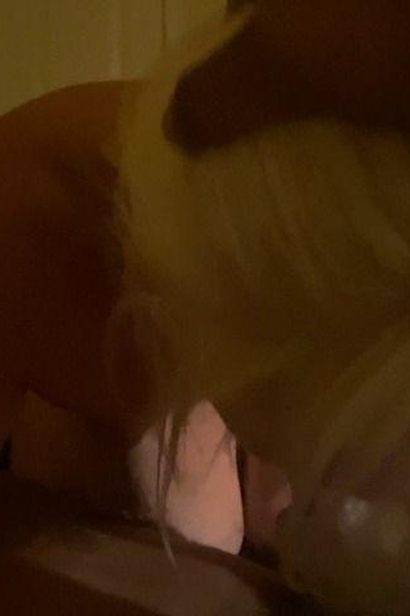 MILF Devours Young BBC - Screenshot 1 of 4 - BBC