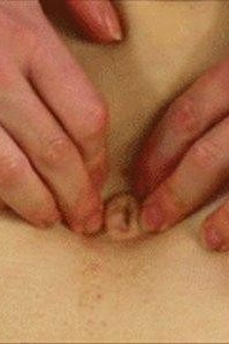 Belly Button Tour - Screenshot 1 of 4 - Babes