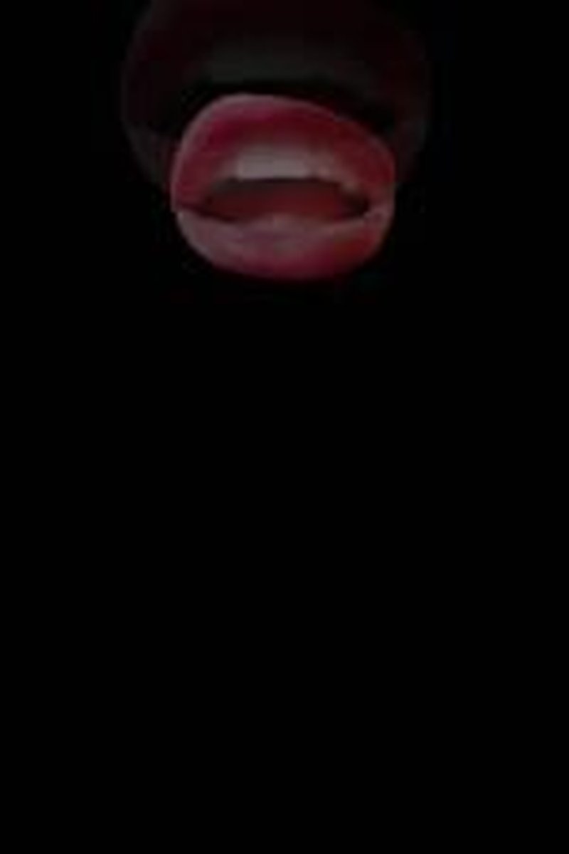 Sissy Cocksucker Trigger Words - Screenshot 1 of 4 - Bitch