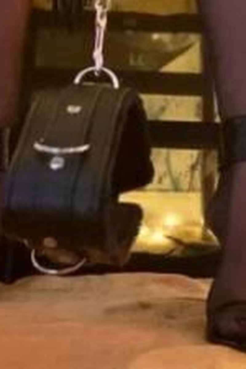 Bow Down Boy! - Screenshot 1 of 4 - Big Tits