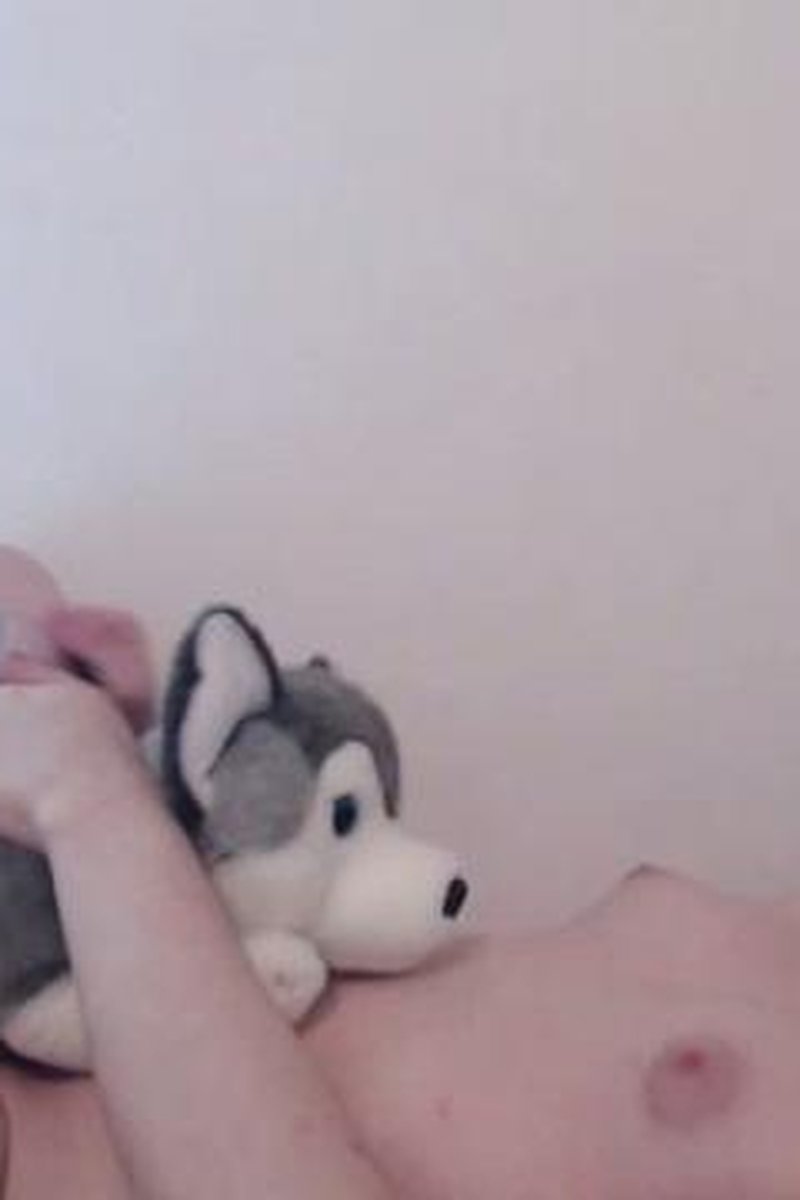 Plush Toy Husky Humping - Screenshot 1 of 4 - Cumshot