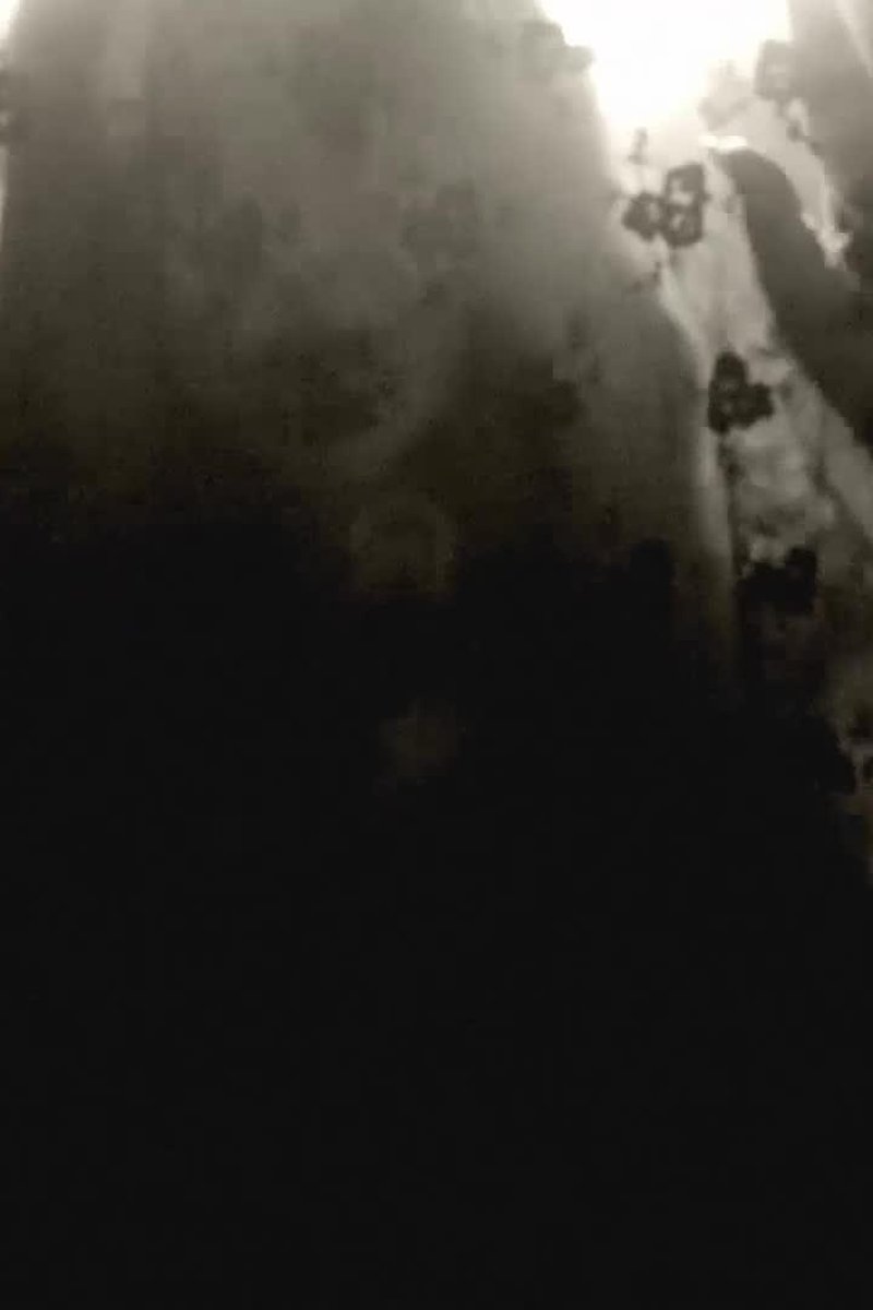 Haunted - Screenshot 1 of 4 - BBW