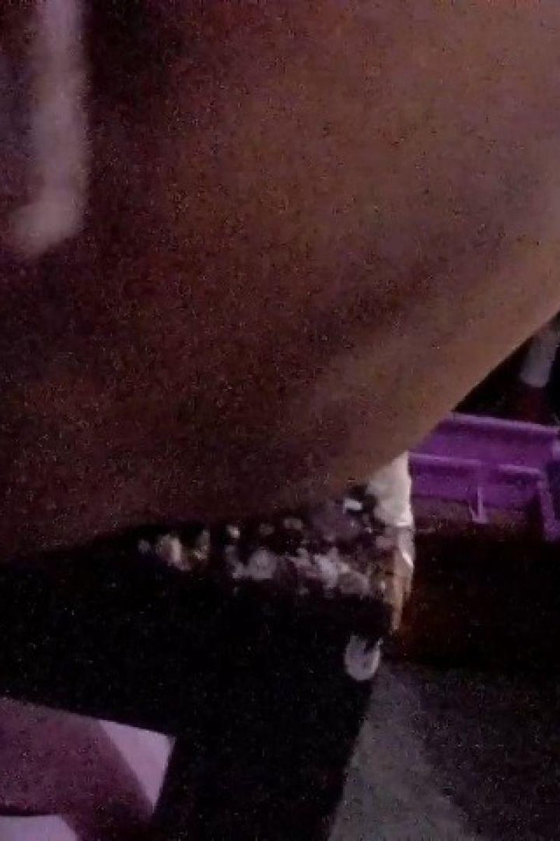 Squirt - Screenshot 1 of 4 - MILF (30+)