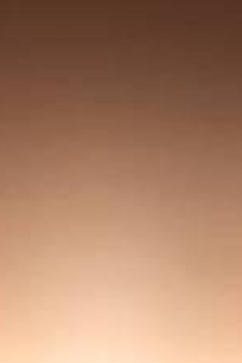 Clean Up Cuck - Screenshot 1 of 4 - All Sex