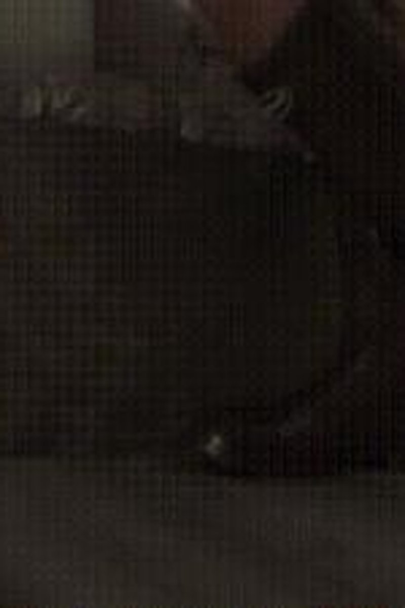 Wild Wellies - Screenshot 1 of 4 - Boots