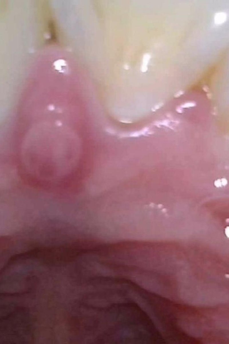 Vore Unaware - Screenshot 1 of 4 - Boots