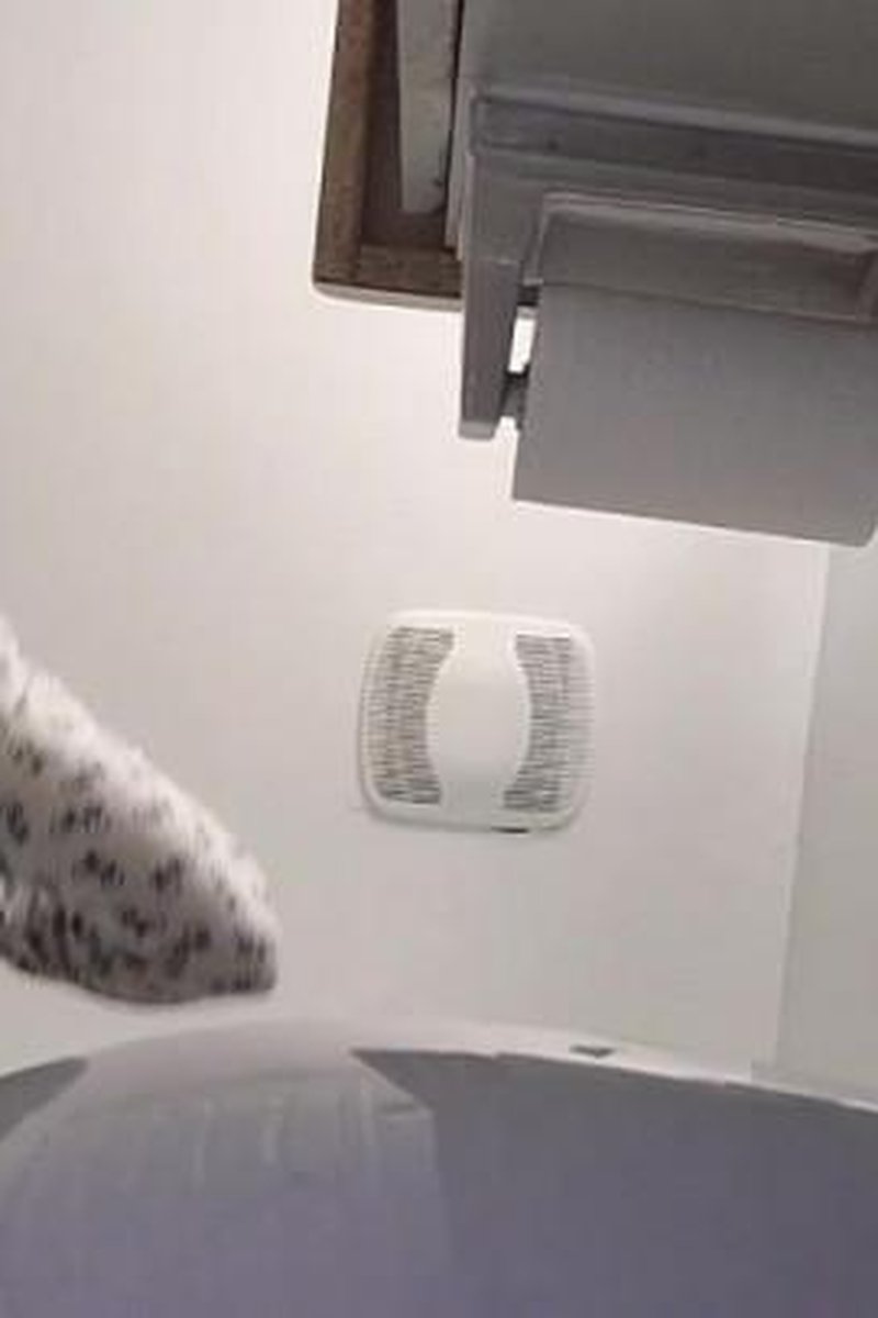 Ricky Pissness - Screenshot 1 of 4 - BBW