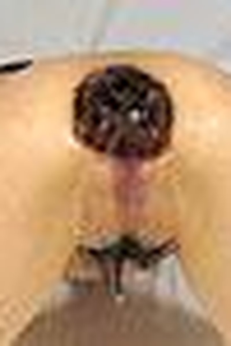 Bizarre Insertions - Screenshot 1 of 4 - Amateur