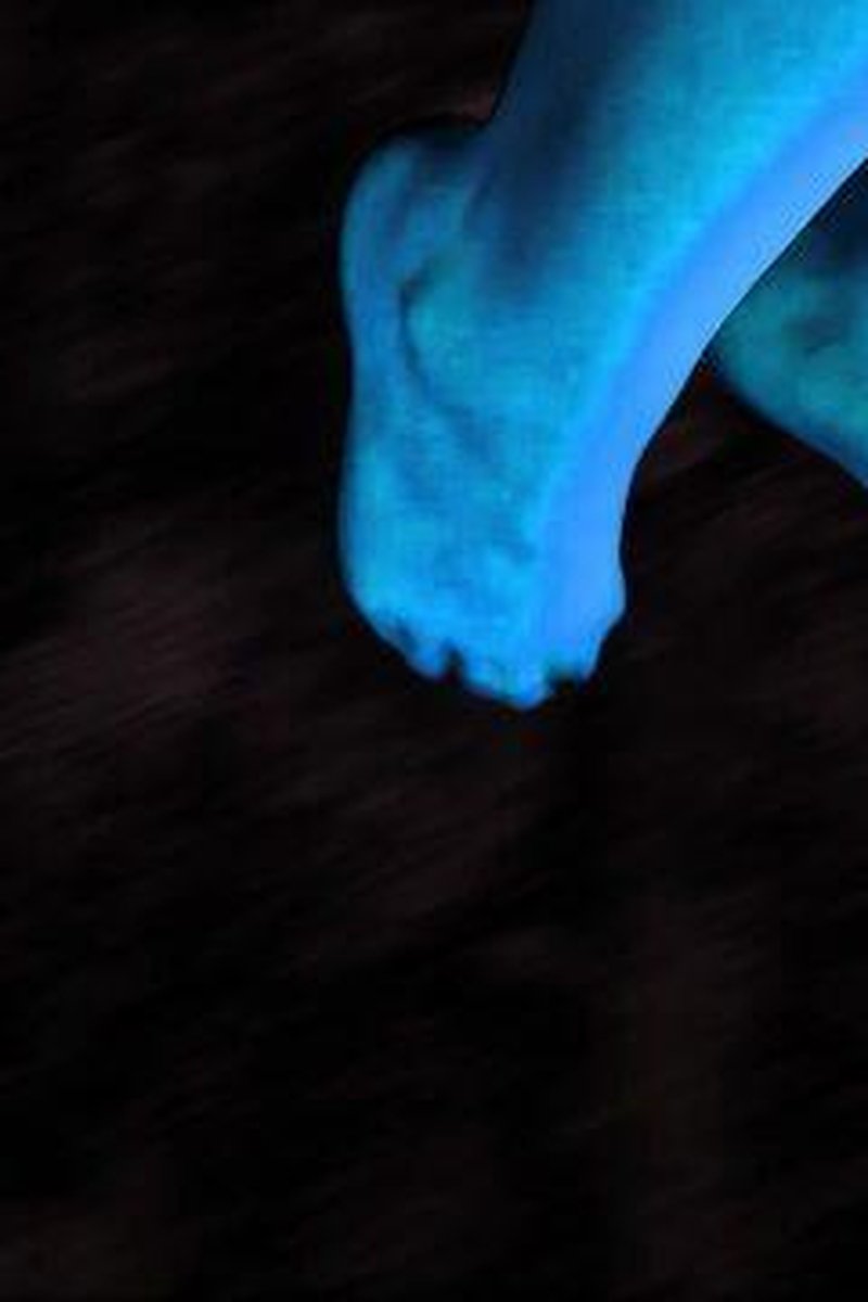 Fancy Feet - Screenshot 1 of 4 - Amateur