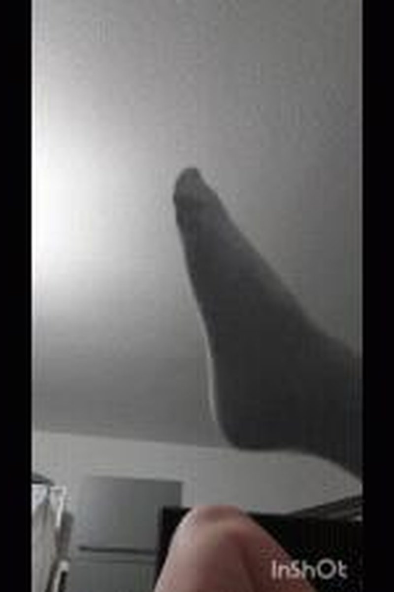 Putting On Socks - Screenshot 1 of 4 - Domination