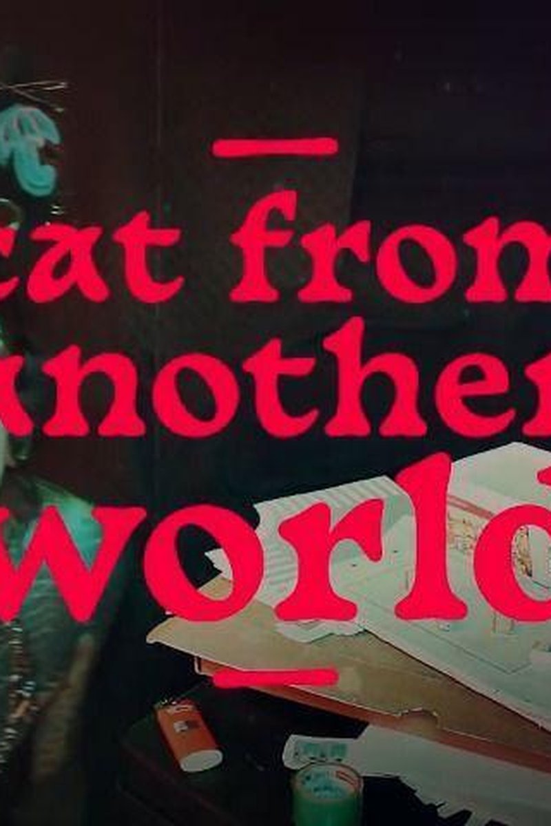 Cat From Another World - Screenshot 1 of 4 - Holidays
