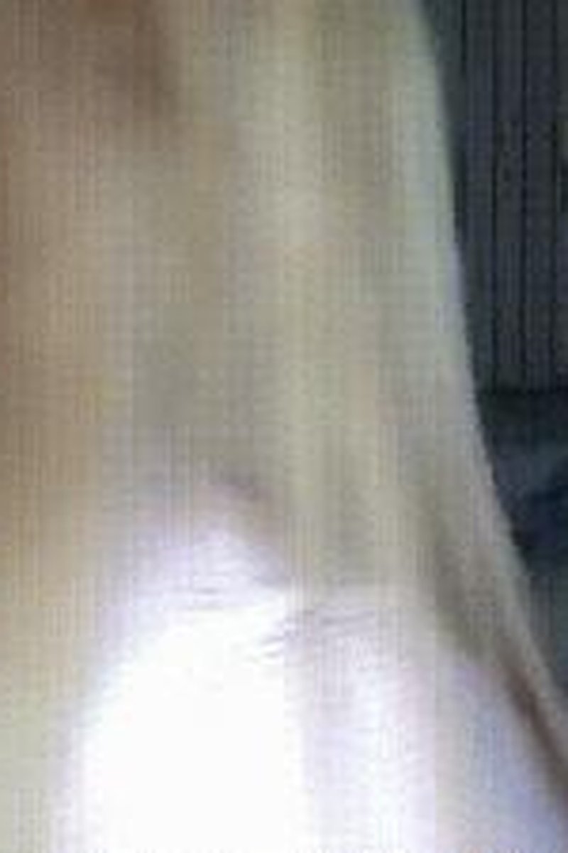 PVC Queen - Screenshot 1 of 4 - Ass Worship