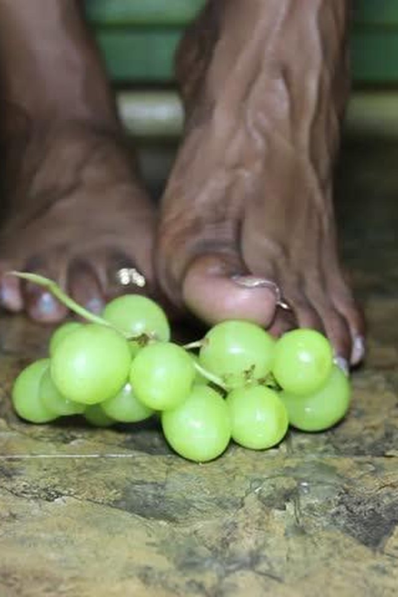 Grape Crush - Screenshot 1 of 4 - Food