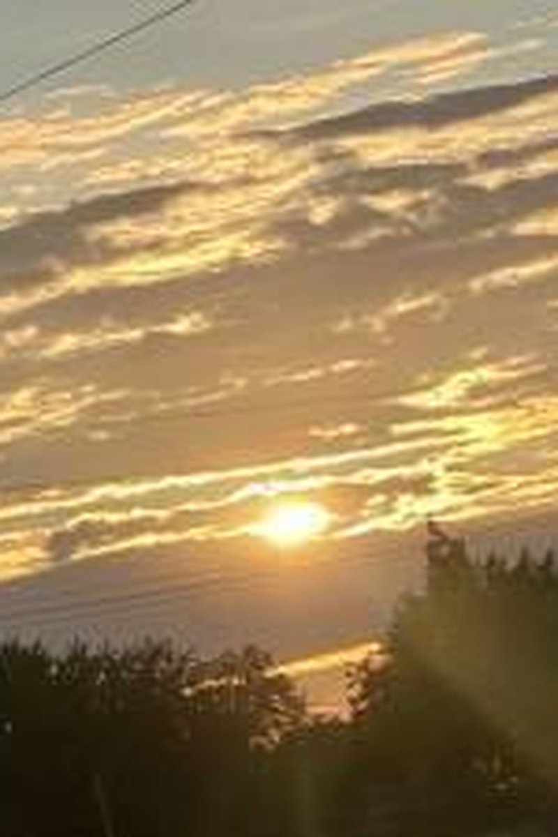 MILF - Screenshot 1 of 4 - Amateur