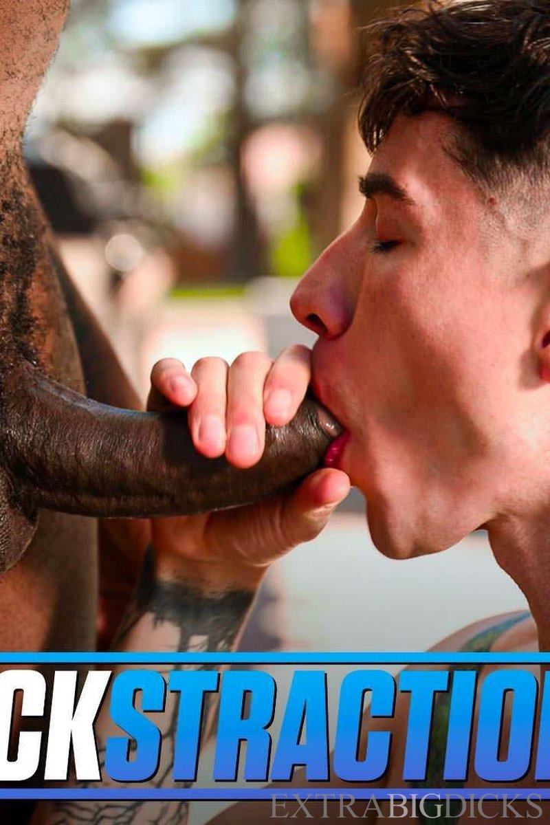 Dickstractions - Screenshot 1 of 4 - Alpha Studio Group