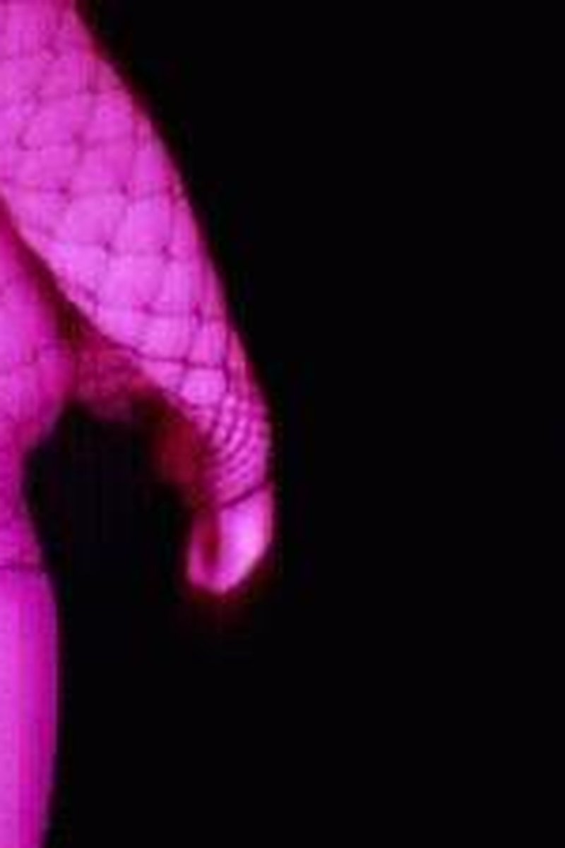 Doubled Crossdressing Compilation - Screenshot 1 of 4 - Amateur