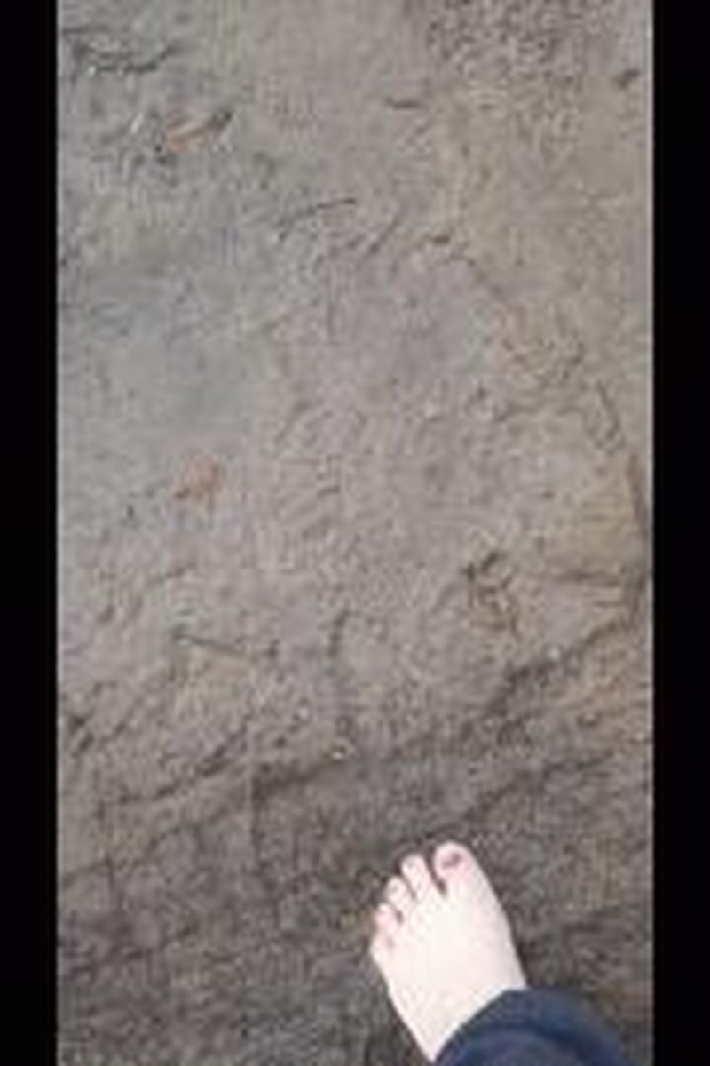 Foot Queen - Screenshot 1 of 4 - BBW