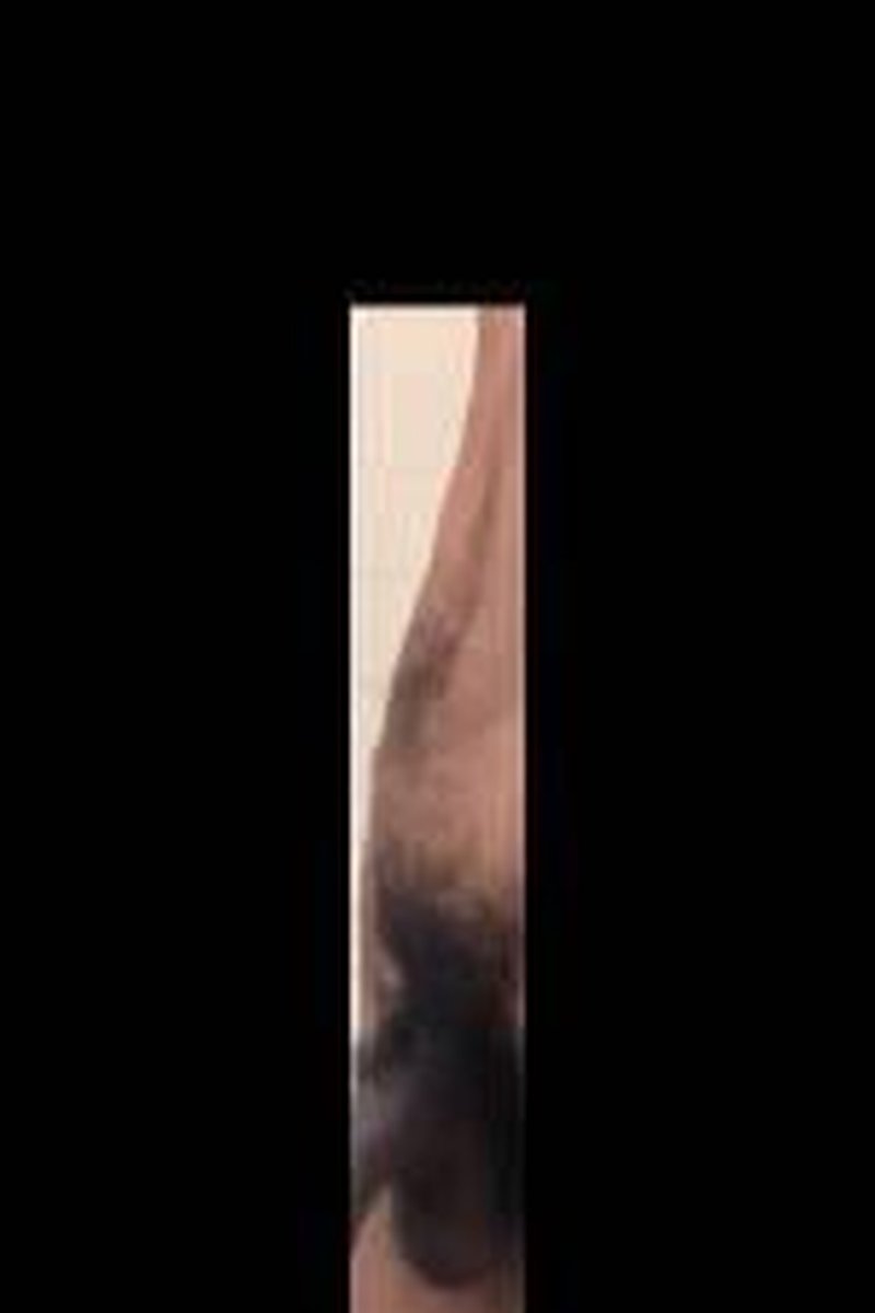 Long Dick Bouncing - Screenshot 1 of 4 - BBC