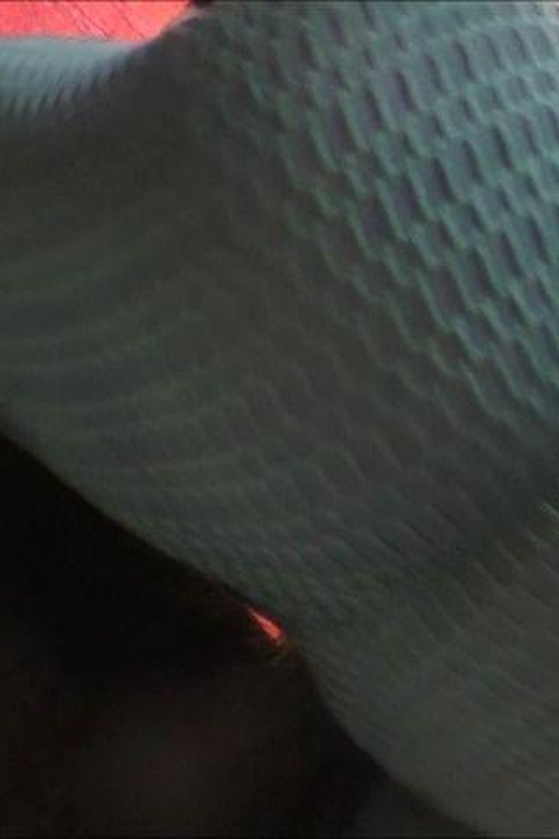 Arsch Oder Fusse! Beides - Screenshot 1 of 4 - Ass Worship