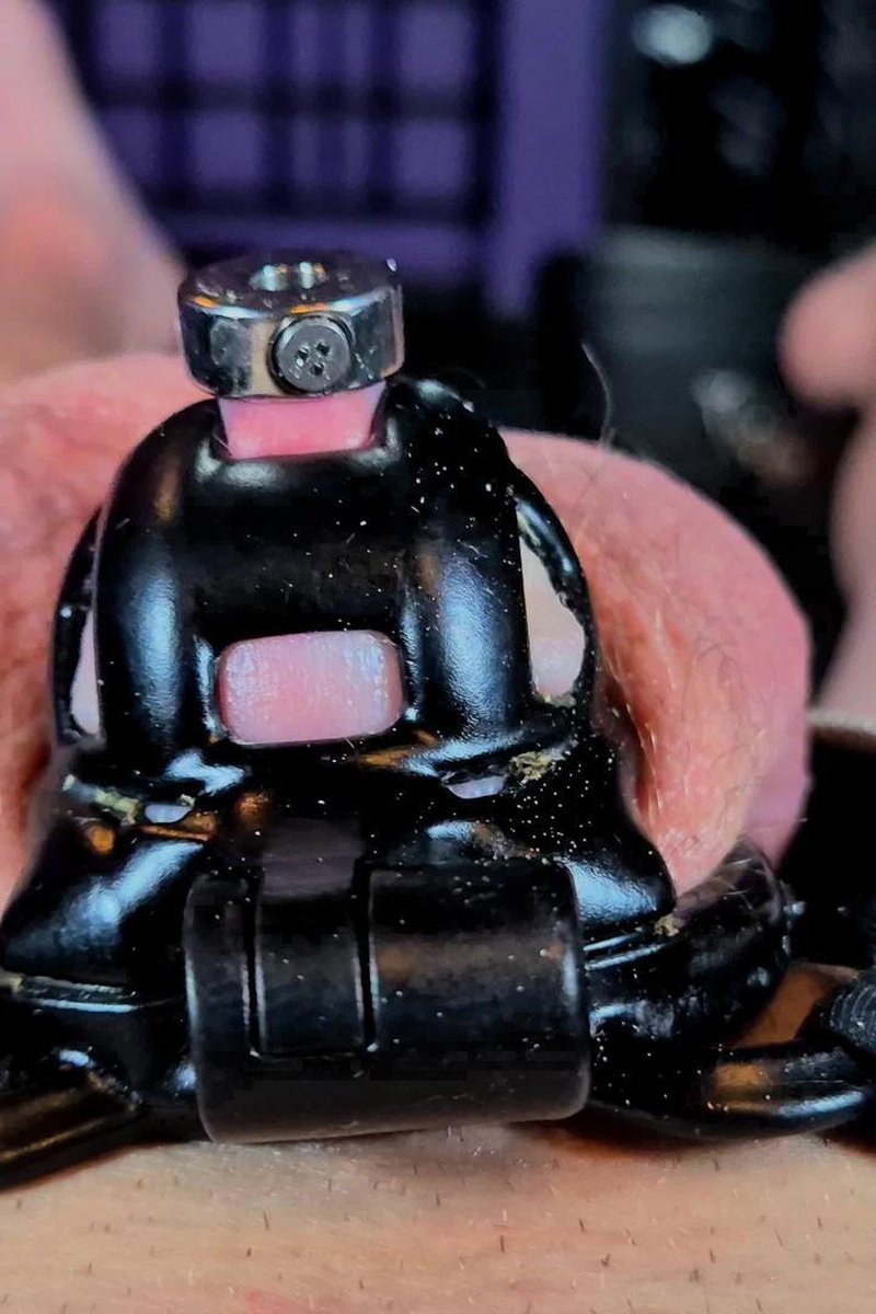 Maximum Security Micro Chastity - Screenshot 1 of 4 - Bitch
