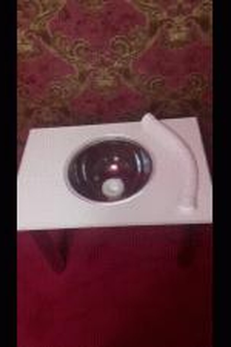 Toilet - Screenshot 1 of 4 - Ass Worship