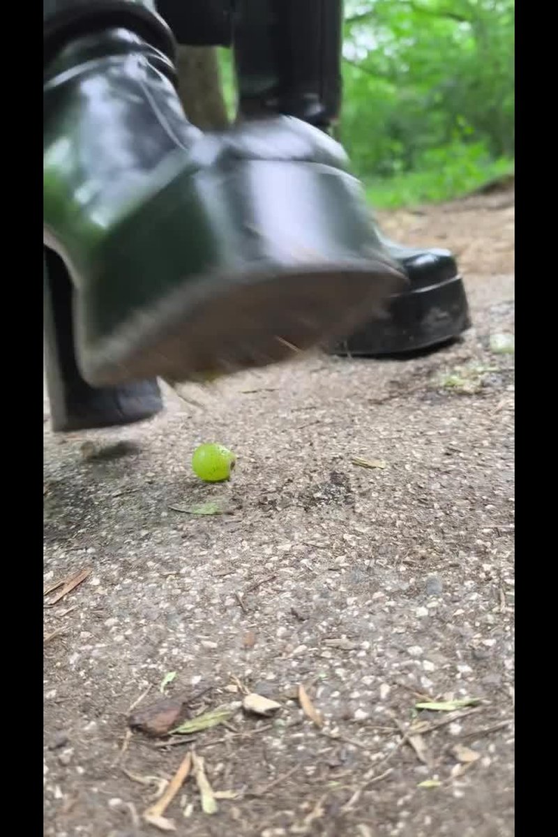 Grape Crushing - Screenshot 1 of 4 - BDSM