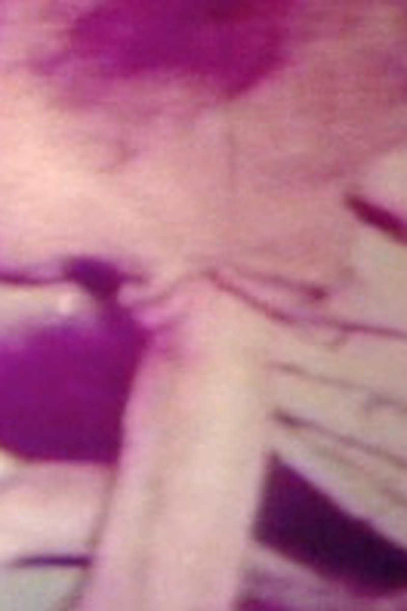Horny Cleaning Lady - Screenshot 1 of 4