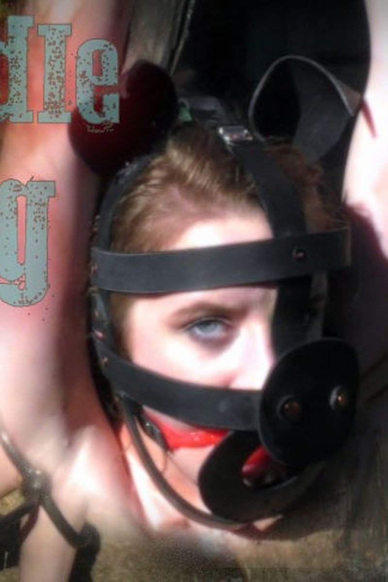 Fiddle Pig - Screenshot 1 of 4 - BDSM