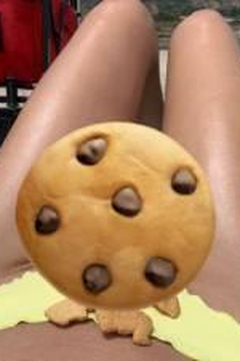Cookie Jar - Screenshot 1 of 4 - Bikini-swimsuit Fetish