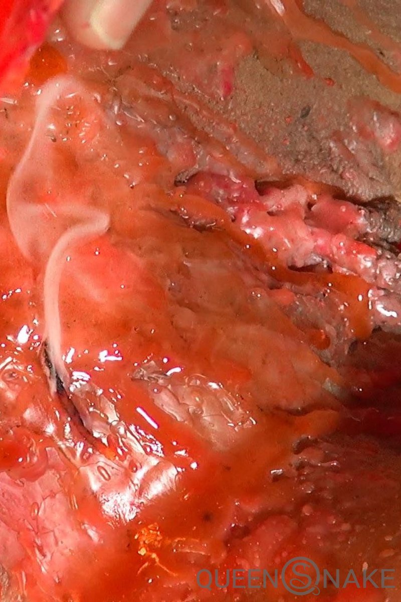 Red Rain - Screenshot 1 of 4 - BDSM