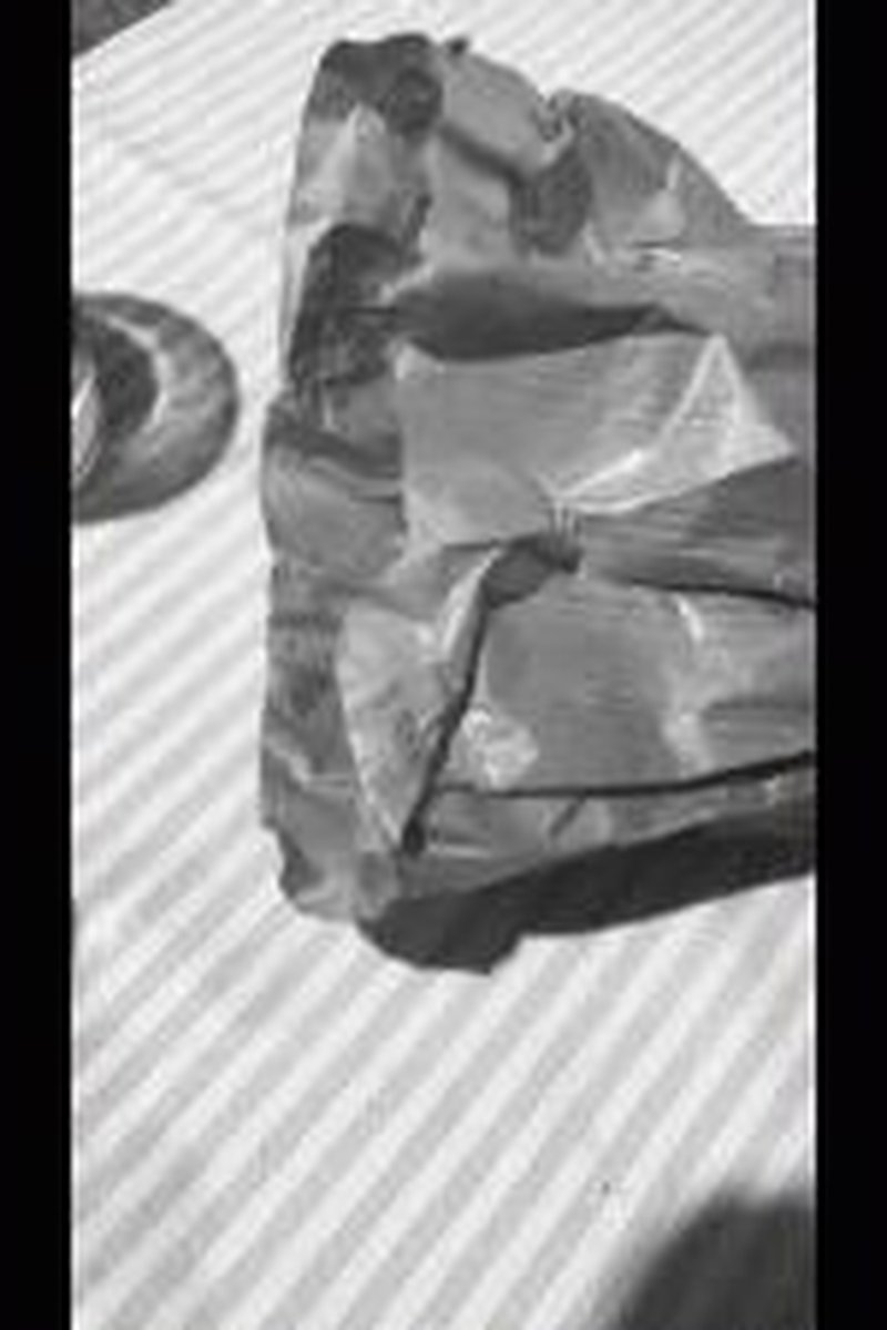 Introduction - Screenshot 1 of 4 - Food